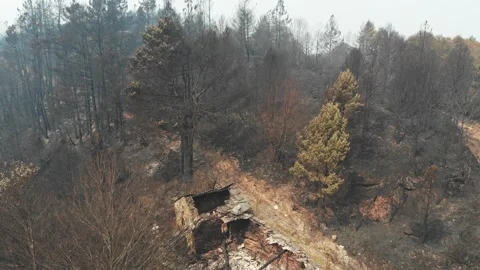 Houseburn1 Video stock 201999738