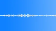 Houseflies buzzingSound Effect