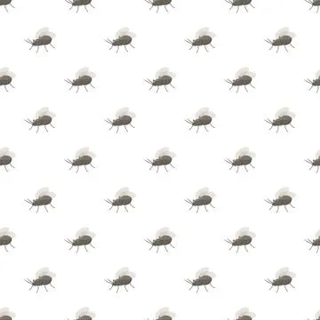 Housefly insect seamless pattern on white background 스톡 일러스트