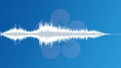 Household - Blinds on rollers pulled 07 Sound Effect