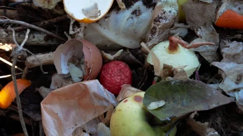 Household compost close up panoramic shot Stock Footage 296098043