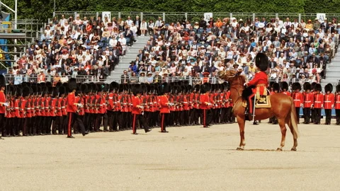 Household Division Guards, Trooping the Colour, London, England, UK Stock Footage 341530348