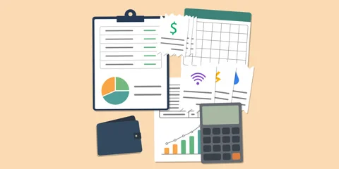 Household Expense Management Animation Stock Footage 342463118