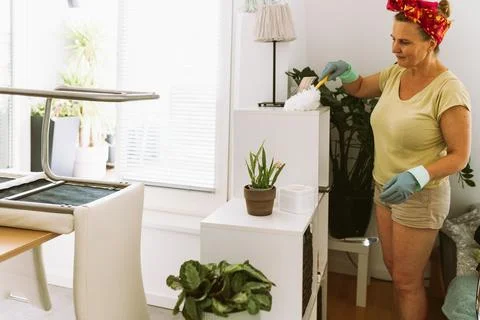 Household routine cleaning Fotos Stock