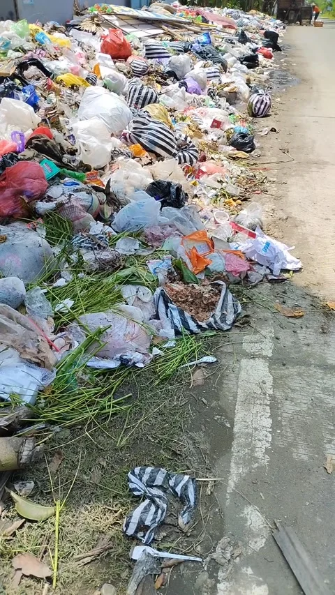 Household waste Stock Footage 293129104