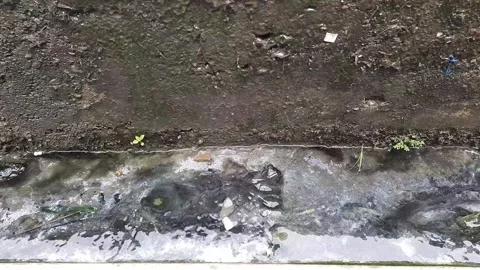 Household wastewater flows in the gutter Stock Footage 274342970