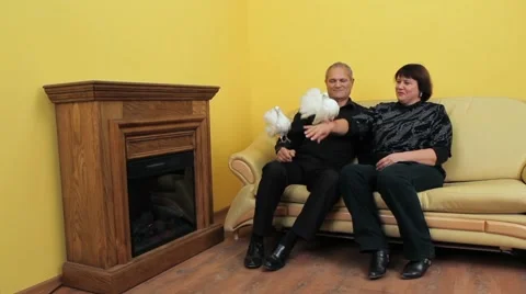 Household White Doves Stock Footage 52437323