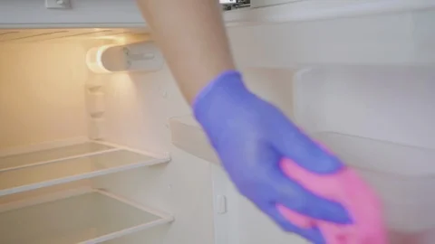 Housekeeping cleaning a refrigerator Stock Footage 91030408