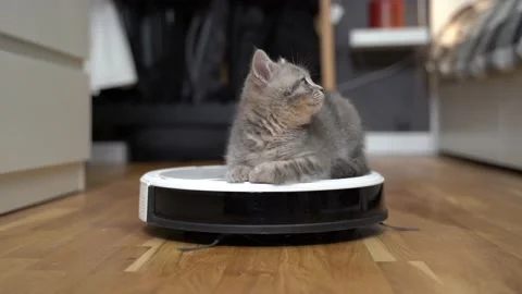 Housekeeping help, new technology, smart home, daily vacuuming. Cute sleepy Stock Footage 155073964