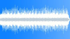 HouseMoFo - Electro Funk Stock Music