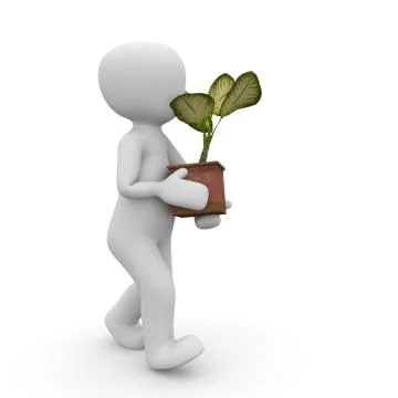 Houseplant Stock Illustration