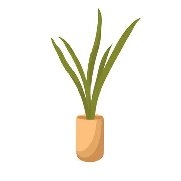 Houseplant Stock Illustration