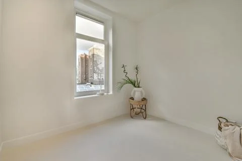 Houseplant in an Stock Photos