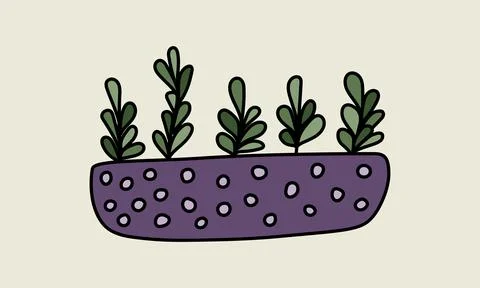 Houseplant in the pot Stock Illustration