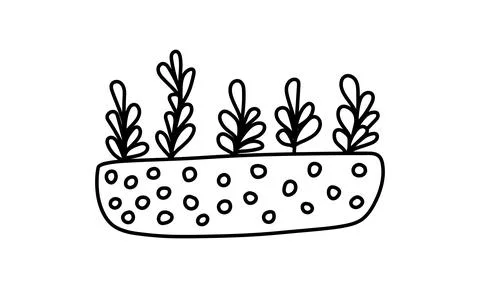 Houseplant in the pot Stock Illustration