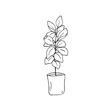 Houseplant in a pot Stock Illustration
