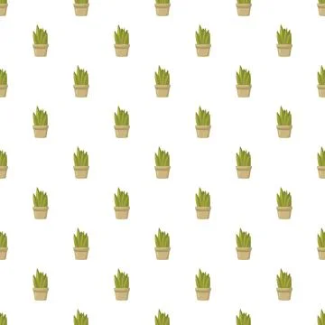 Houseplant succulent seamless pattern on white background Stock Illustration