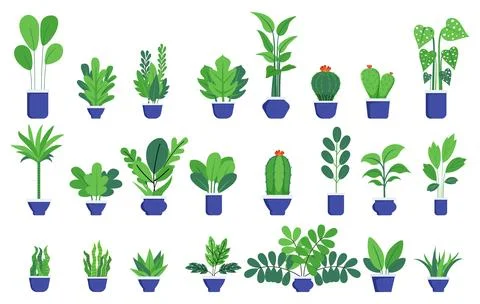 Houseplants big set Stock Illustration