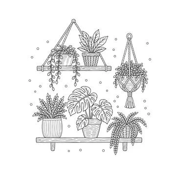 Houseplants Embroidery Pattern, Botanical Shelf Hoop Art, Beginner Embroidery Stock Illustration