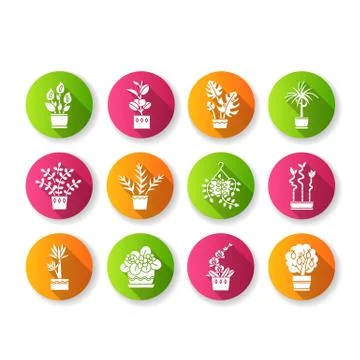 Houseplants flat design long shadow glyph icons set. Decorative indoor plants Stock Illustration