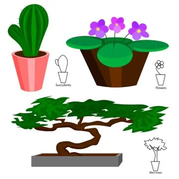 Houseplants Illustrazione stock