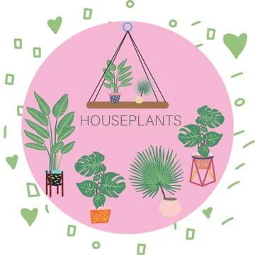 Houseplants with note on pink circle element. Stock Illustration
