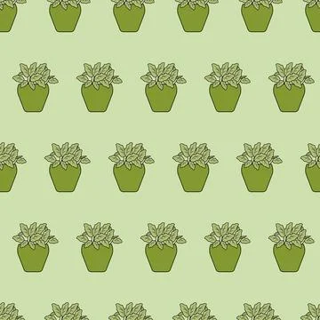 Houseplants in pots. Seamless pattern. Creative flower shop decoration design Stock Illustration
