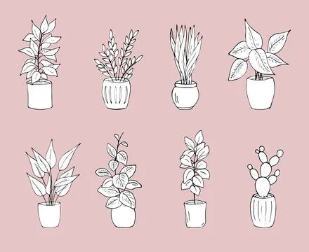 Houseplants set Stock Illustration