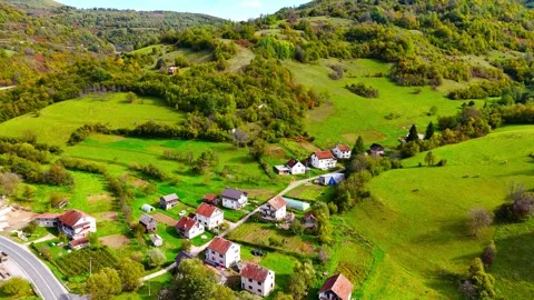 Houses Between the Trees Stock Footage 312714318