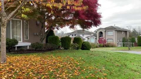 Houses with Fall Foliage. Stock Footage 143873091