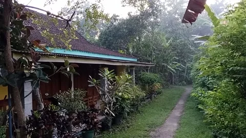 Houses Stock Footage 219908793