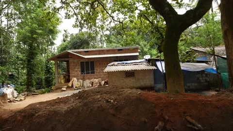 Houses inside the forest surrounded by trees Vídeo Stock 156955927