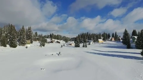 Houses in the middle of the forest surrounded with lots of pine trees. Aerial Stock Footage 84065488