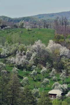 Houses seen from the top of the hill. spring time at the village Stock Photos