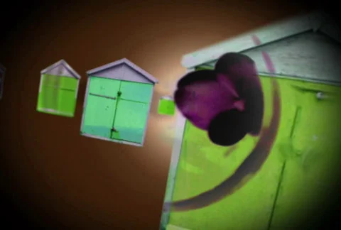 Houses in Space Stock Footage 282933