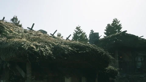 Houses with straw roofs under a clear sky with trees in the background Stock Footage 344406397
