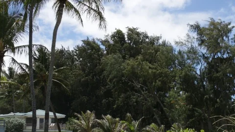 Houses In the Trees Stock Footage 104795041