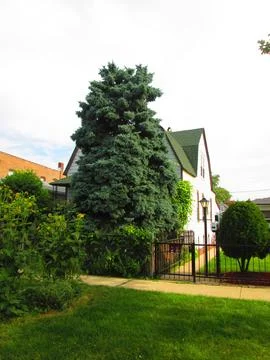 HouseWithTree Foto stock