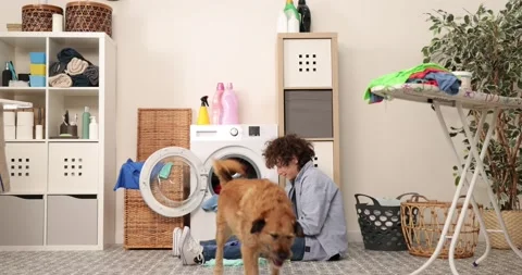 Housework. Boy doing laundry at home loading clothes into washing machin and Stock Footage 224080459