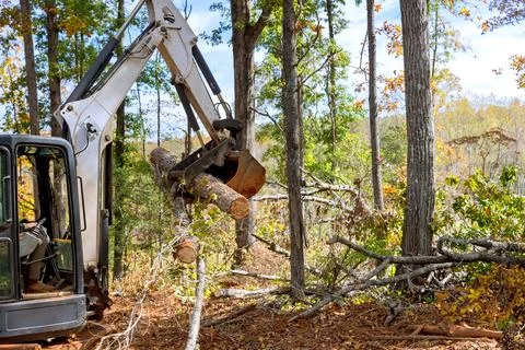 Housing complex construction, a trees cleared during land with tractor skid Stock Photos