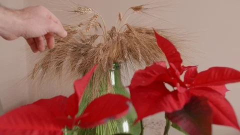 Housing development with plants Stock Footage 124634261