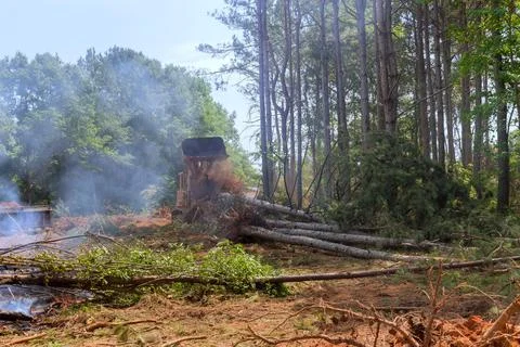 A housing development subdivision was cleared of trees to using tractors Stock Photos