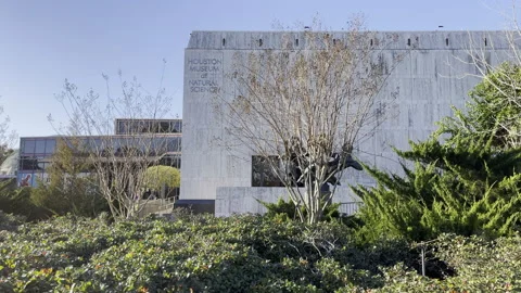 Houston Museum of Natural Sciences Video stock 147735575