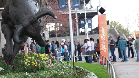 Houston Rodeo Carnaval Видео 307210413