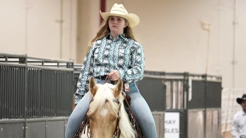 Houston Rodeo Carnival Video stock 307210541