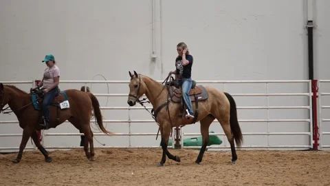 Houston Rodeo Carnival Video stock 307210544