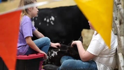Houston Rodeo Carnival Stock-Footage 307210643