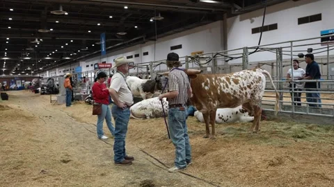Houston Rodeo Carnival Stock Footage 307210652