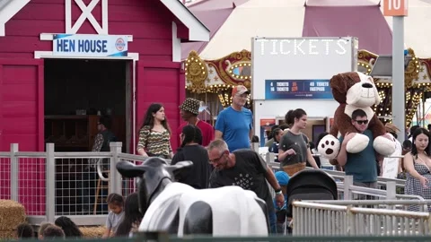 Houston Rodeo Carnival Video stock 307210708