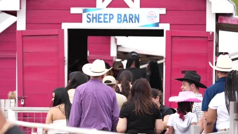 Houston Rodeo Carnival Stock Footage 307210716